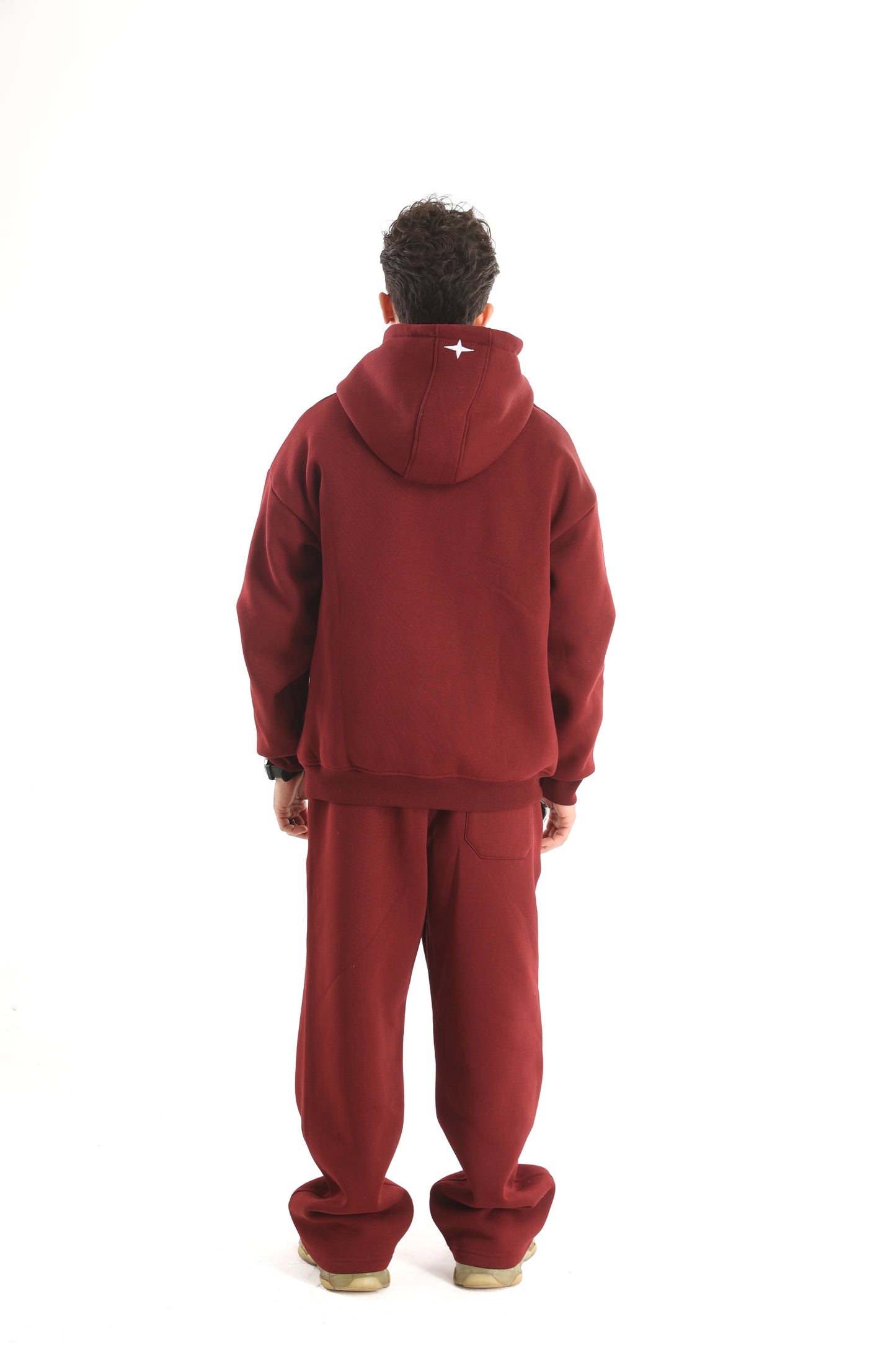 Structure 1.0 burgundy Hoodie